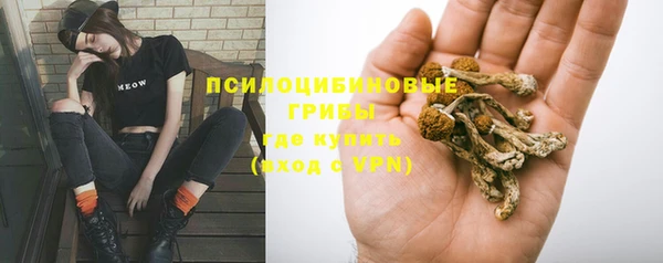 МДПВ Алзамай