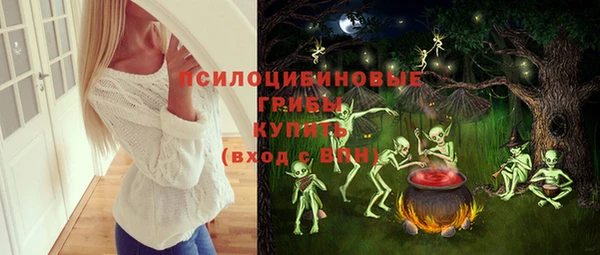 МДПВ Алзамай
