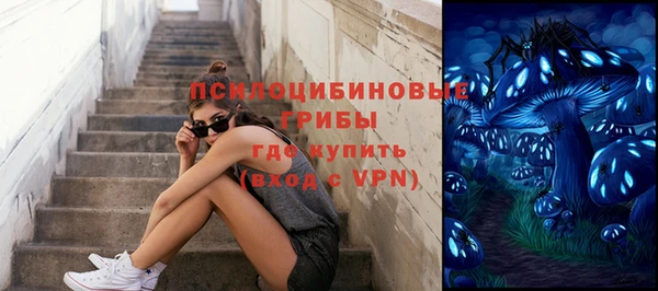 спиды Алексеевка