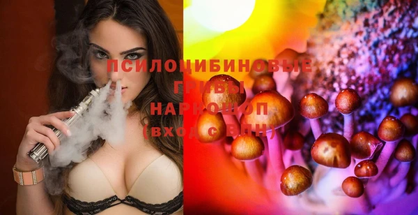 спиды Алексеевка