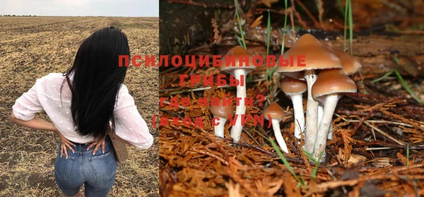 МДПВ Алзамай