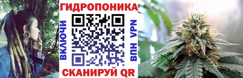 Марихуана SATIVA & INDICA  как найти наркотики  Мураши 